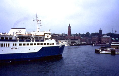 Betula in Helsingborg