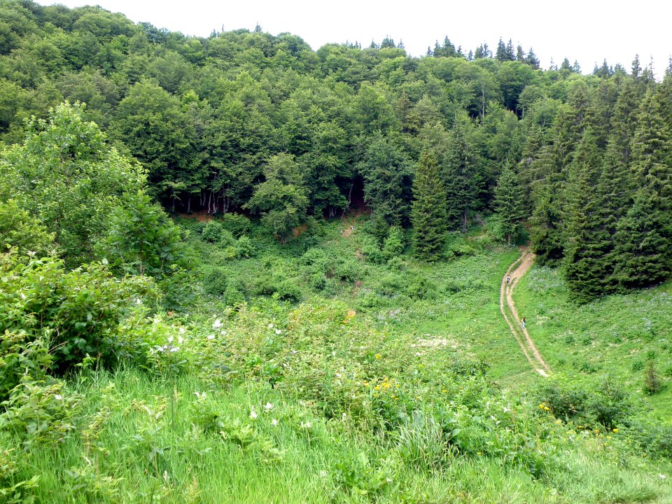 Besse Puy de Montchal2
