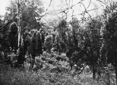 Beschadigd, Bestanddeelnr 194-1221