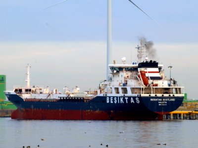 Besiktas Scotland IMO 9350745