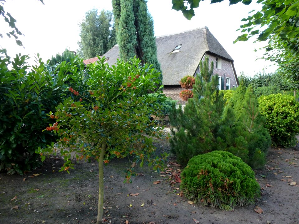 Beuningen (Gld) boerderij Hosterdstraat 15 woning met tuin