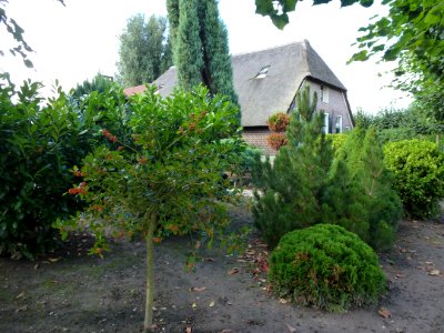 Beuningen (Gld) boerderij Hosterdstraat 15 woning met tuin