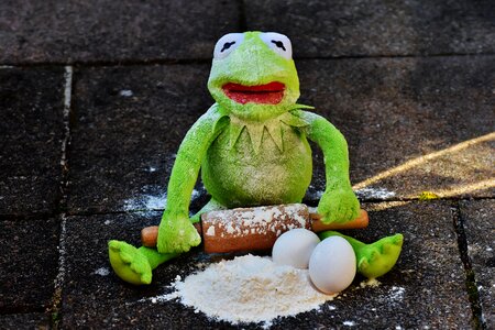 Egg flour ingredients photo