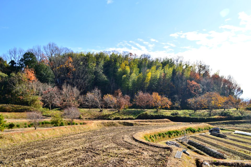 Bessho Otsuka Kofun, enkei