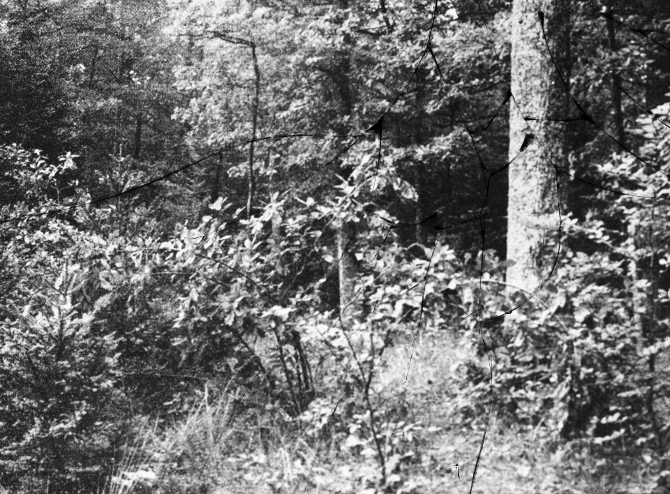 Beschadigd, Bestanddeelnr 194-1234