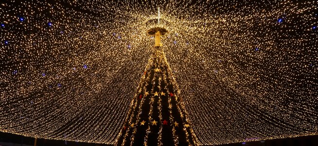 Xmas christmas tree