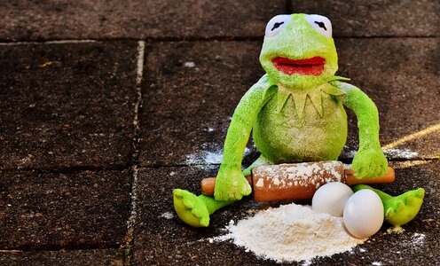 Egg flour ingredients photo