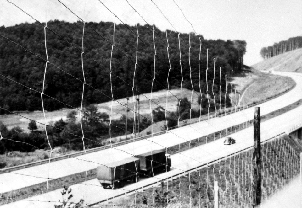 Bescherming voor het wild, langs de autoweg Wenen -Salzburg, Bestanddeelnr 916-6892 (cropped)