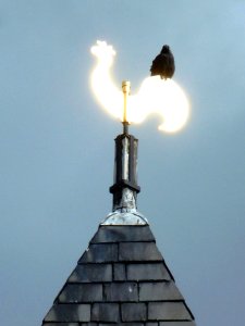Beuningen (Gld) NH kerk, Kerkplein 9 dakruiterhaan