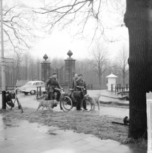 Bescherming voor de Franse president bij het Paleis in Den Haag, Bestanddeelnr 914-9314
