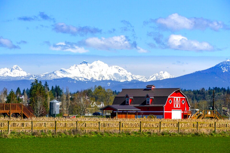 Mountains livestock rural photo