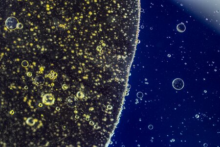 Texture macro oil