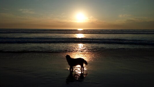 Harvey sunset kommetjie