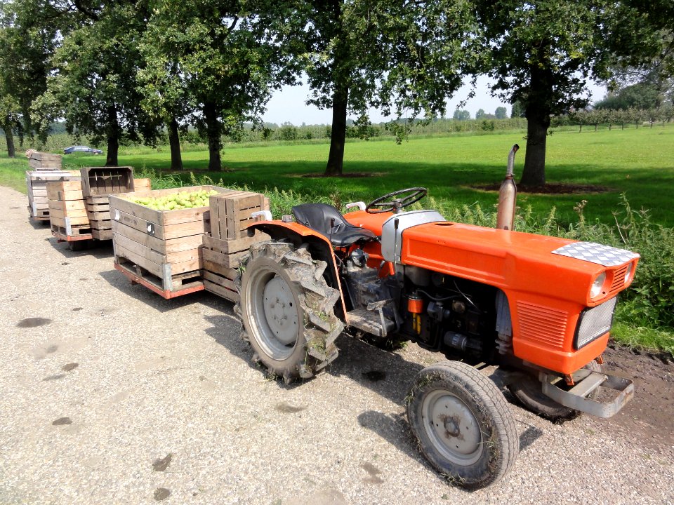 Beuningen fruit oogsttijd 4