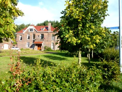 Beuningen (Gld) Nieuwe Distelakker , Distelakkerstraat 2, in de avondzon