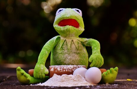 Egg flour ingredients photo