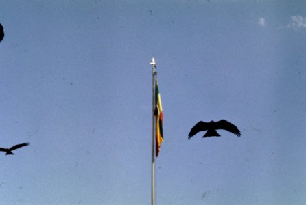 Bezoek Koningin Juliana , Pr. Bernhard , Pr. Beatrix Pr. Claus aan Ethiopie bez, Bestanddeelnr 254-8289