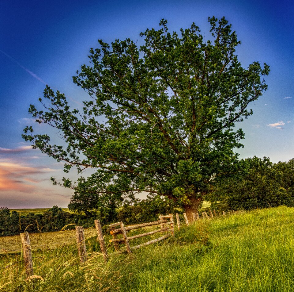 Nature landscape rural