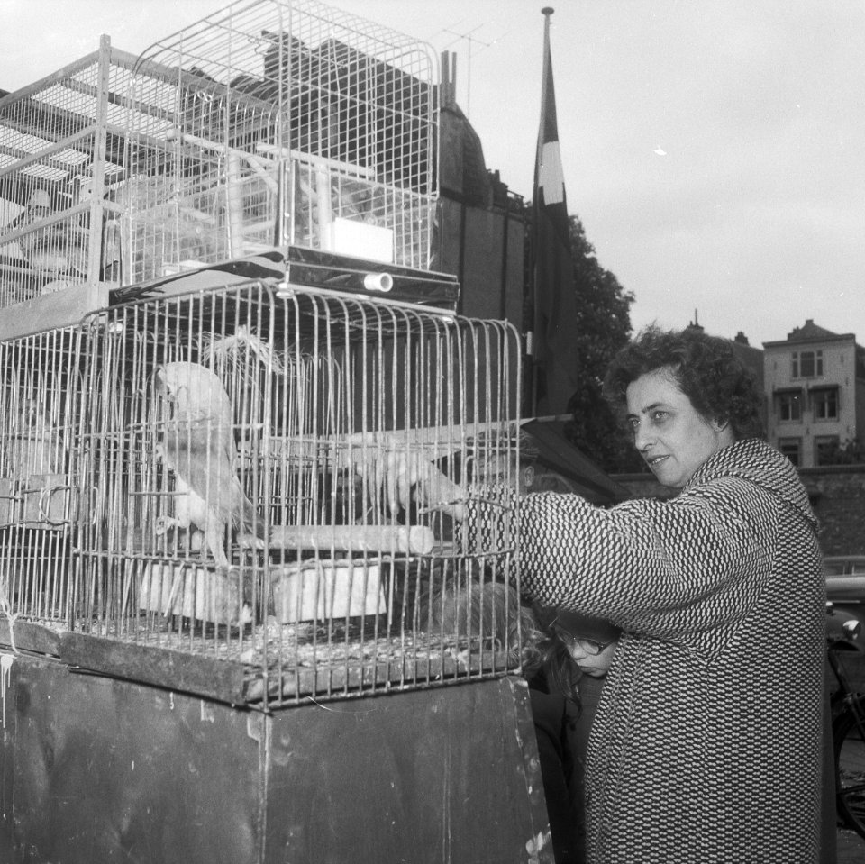Bevrijdingsmarkt Amstelveld, Bestanddeelnr 934-7176