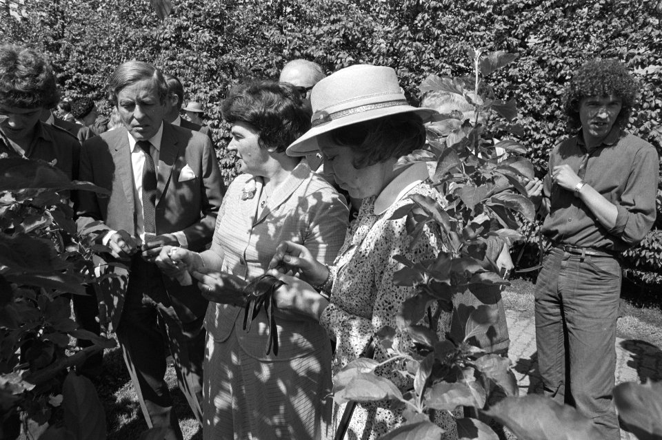 Bezoek Koningin Beatrix en prins Claus aan Noord-West-Overijssel, Beatrix en Claus bij fruitteeltbedrijf in Kraggenburg, Bestanddeelnr 931-4932