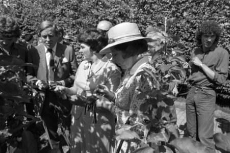 Bezoek Koningin Beatrix en prins Claus aan Noord-West-Overijssel, Beatrix en Claus bij fruitteeltbedrijf in Kraggenburg, Bestanddeelnr 931-4932