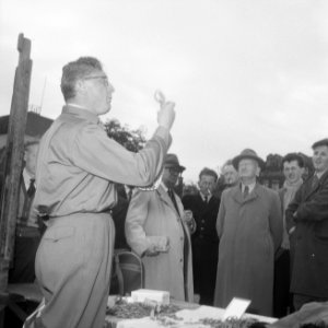 Bevrijdingsmarkt Amstelveld, Bestanddeelnr 934-7177