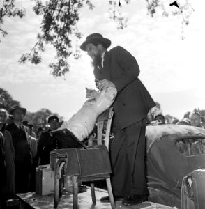 Bevrijdingsstandwerkersmarkt Amsterdam. Standwerkers, Bestanddeelnr 905-7148