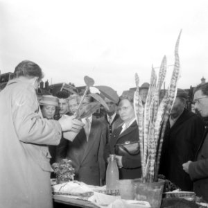 Bevrijdingsmarkt Amstelveld, Bestanddeelnr 934-7173