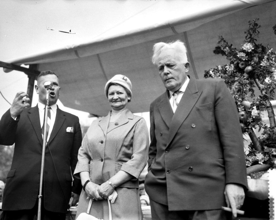 Bevrijdingsmarkt op het Amstelveld te Rotterdam, huldigin van G van Wijngaarden, Bestanddeelnr 911-2353