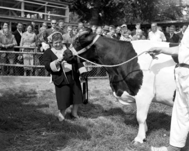 Bezoek E55, Heintje Davids met de meeste melkgevende koe, Bestanddeelnr 907-2547