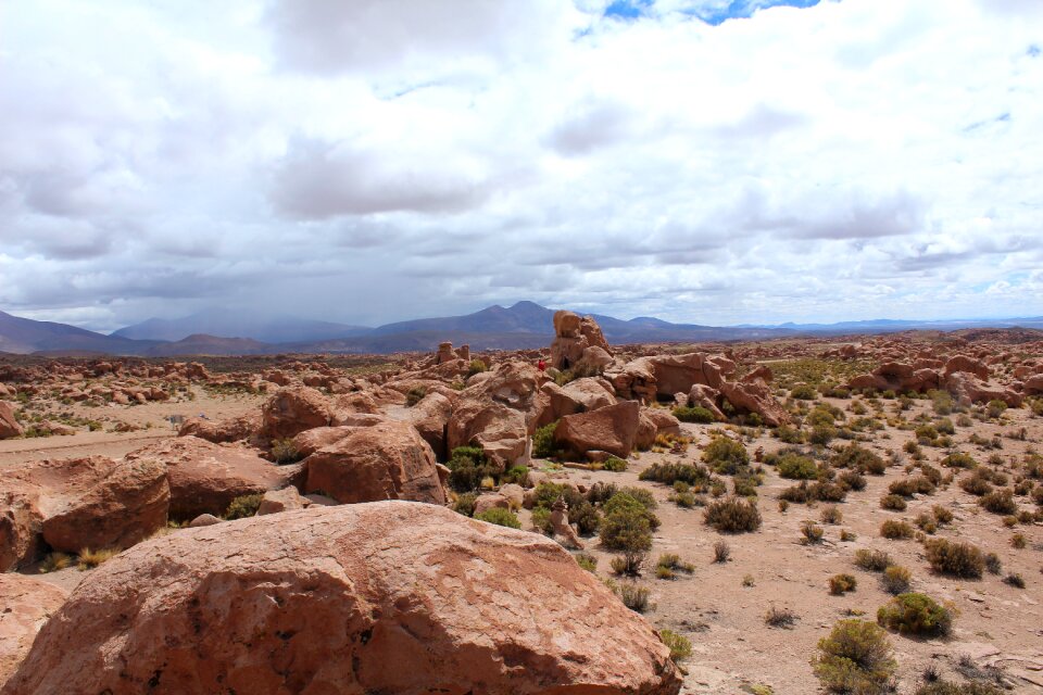 Desert bolvia stones