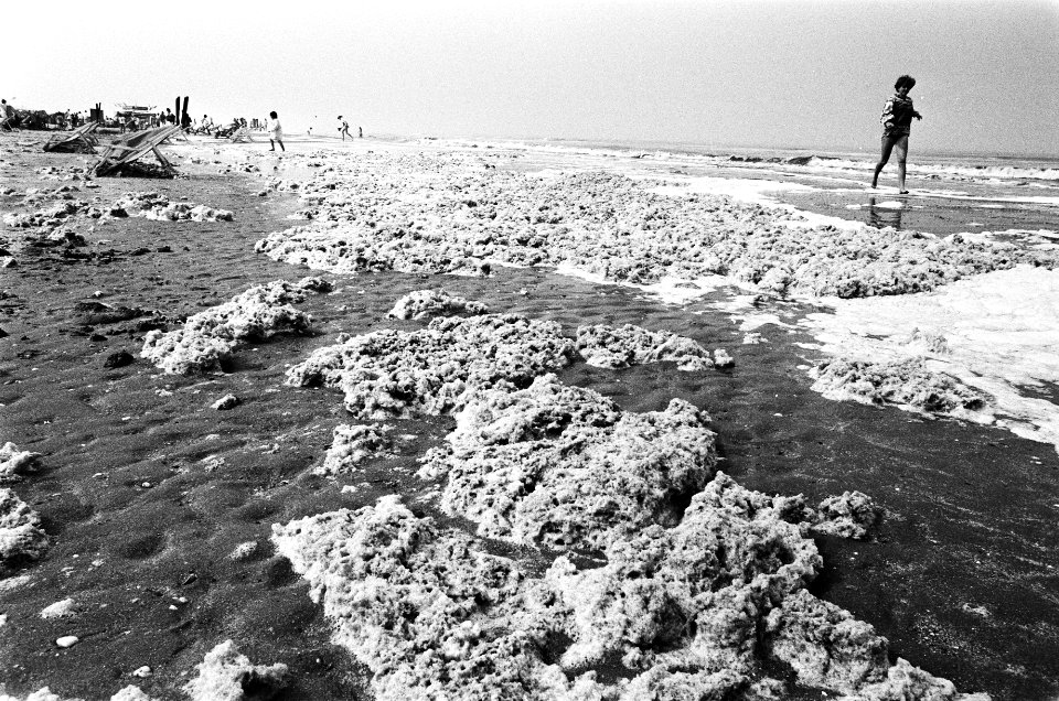 Bewolking en strook stinkend schuim (foto) op strand bij Zandvoort houdt strand , Bestanddeelnr 932-1625