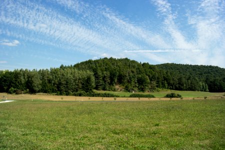 Bettelküche bei Neukirchen bei Sulzbach-Rosenberg (A 95) 09