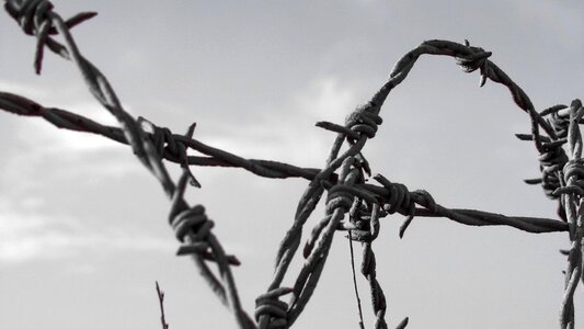 Protection barbwire separation