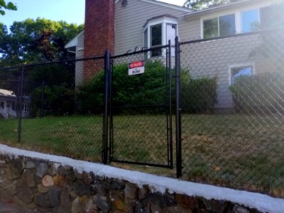 Beware of Bear - Arlington, MA - 20200813 082316