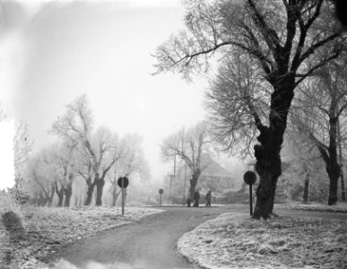 Bezoek aan Elten. Landelijk schoon de rijp in bomen, Bestanddeelnr 905-4867
