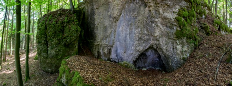 Bettelküche bei Trossalter 01