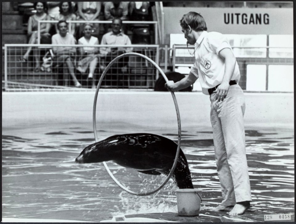 Bezienswaardigheden, dolfinarium harderwijk, Bestanddeelnr 128-0458