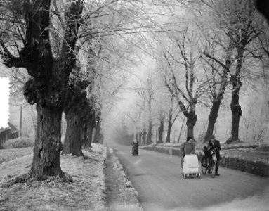 Bezoek aan Elten. Landelijk schoon de rijp in bomen, Bestanddeelnr 905-4866