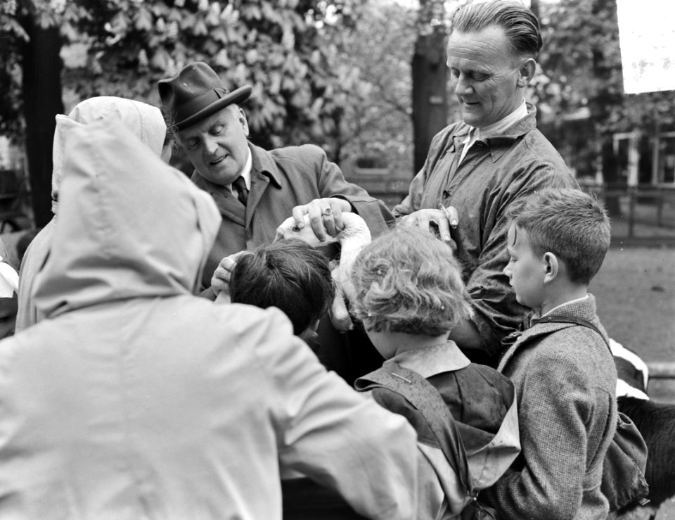 Bezoek 10 blinde kinderen van het Blindeninstituut Brossum aan Artis, onder lei…, Bestanddeelnr 904-5825