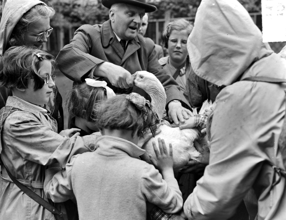 Bezoek 10 blinde kinderen van het Blindeninstituut Brossum aan Artis, onder lei…, Bestanddeelnr 904-5824