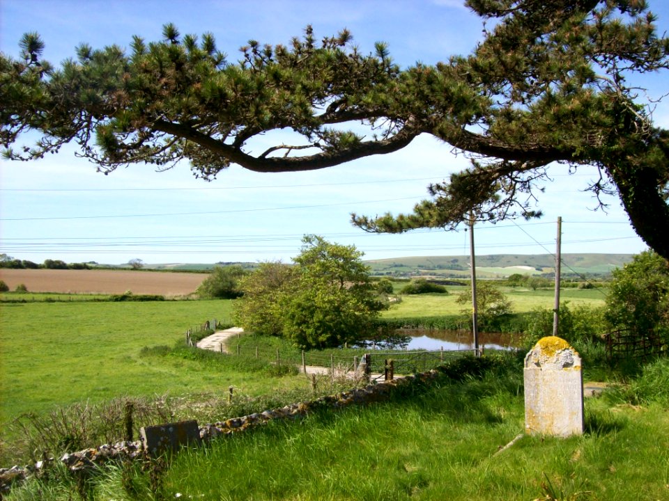 Beddingham churchyard