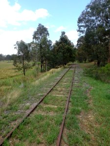 Beaudesert railway line at Cedar Grove, Queensland photo