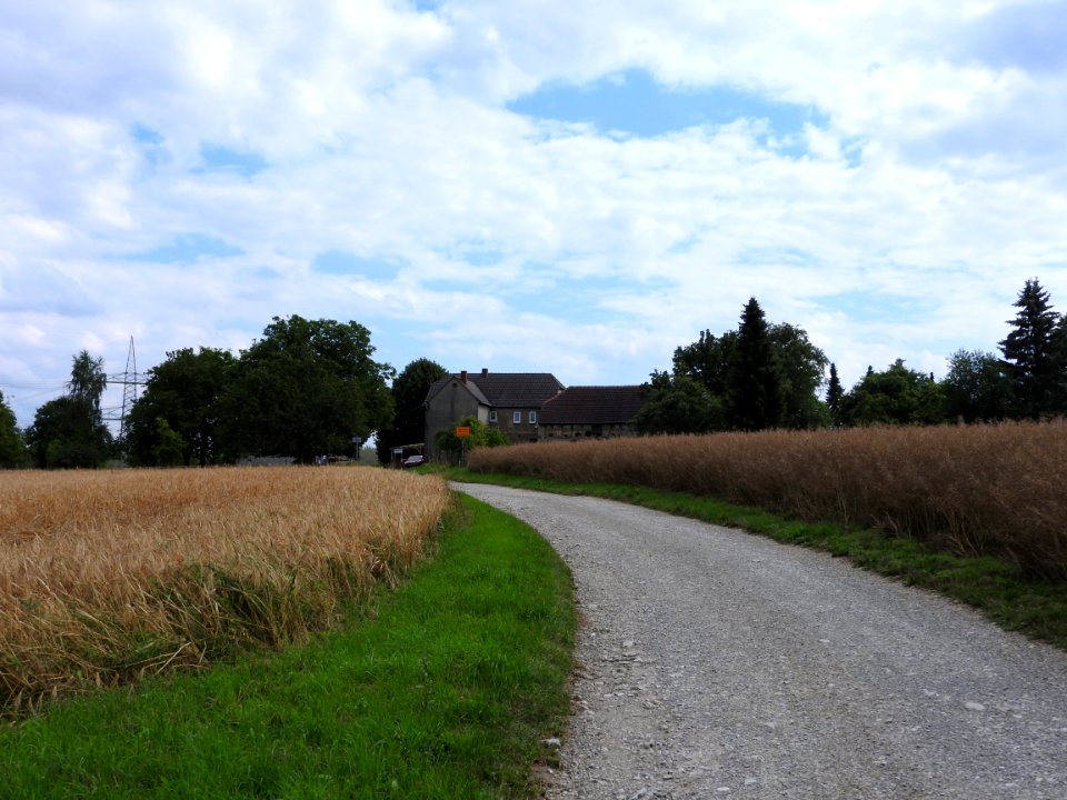Beckerskirchhof, Reinstädt