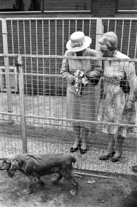 Beatrix opent het Haagse Dierencentrum in Den Haag . Beatrix tijdens de rondgang, Bestanddeelnr 932-0622