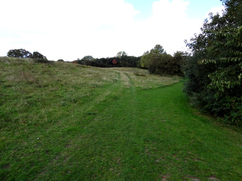 Beckton District Park South