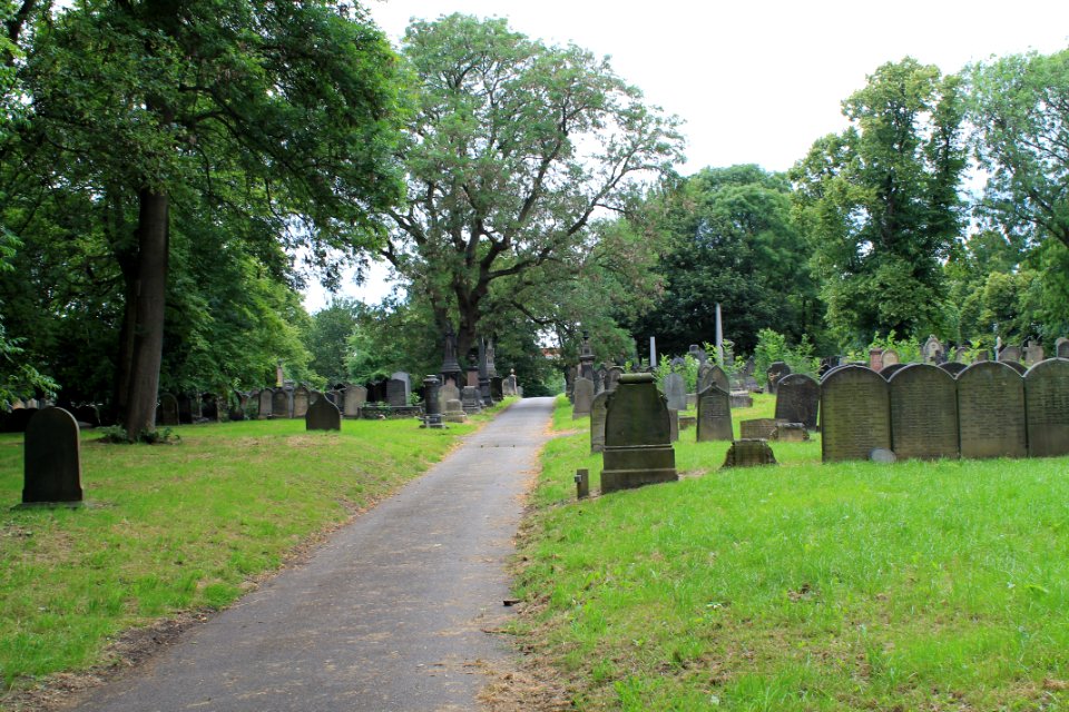 Beckett Street Cemetery 2019-07-18 (18)