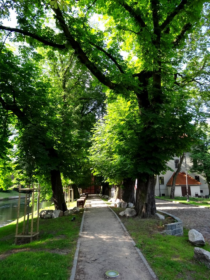 Bdg Wmstarodrzew 07-2013