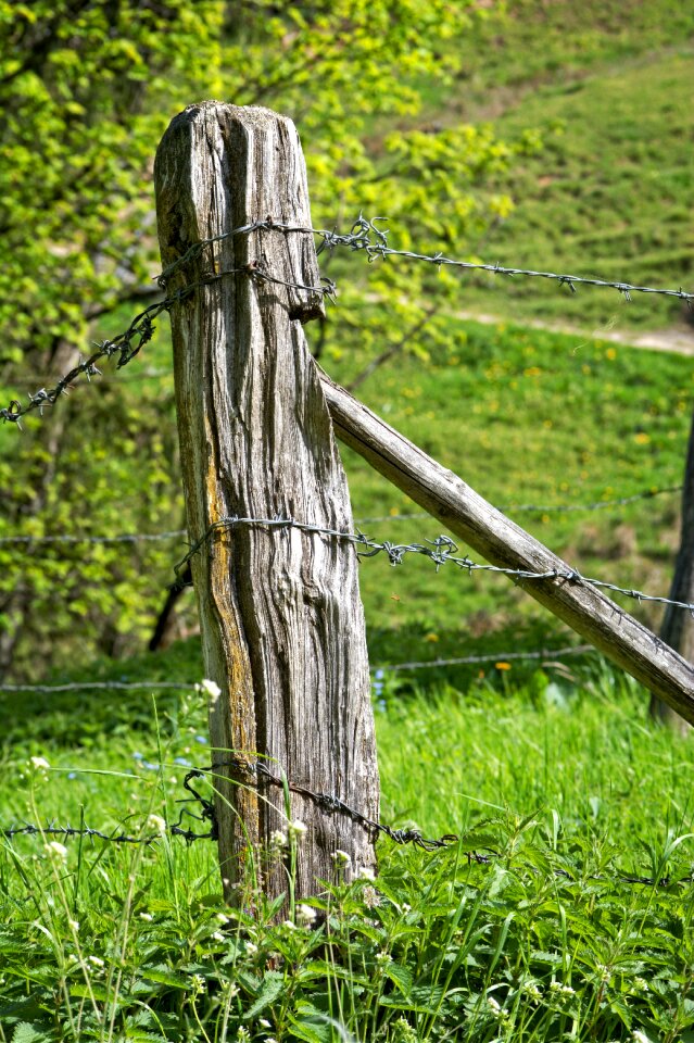 Demarcation old wire