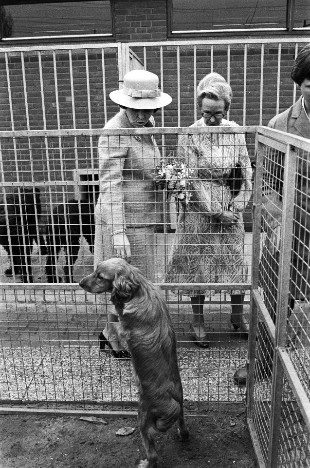 Beatrix opent het Haagse Dierencentrum in Den Haag . Beatrix tijdens de rondgang, Bestanddeelnr 932-0621